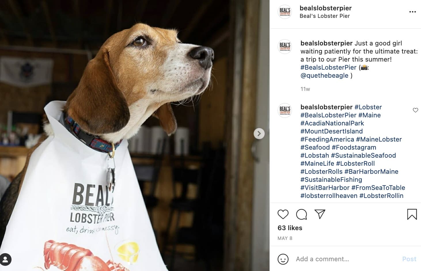 Beal's Lobster Pier - IG - dog Beal's Lobster Pier - IG - dog