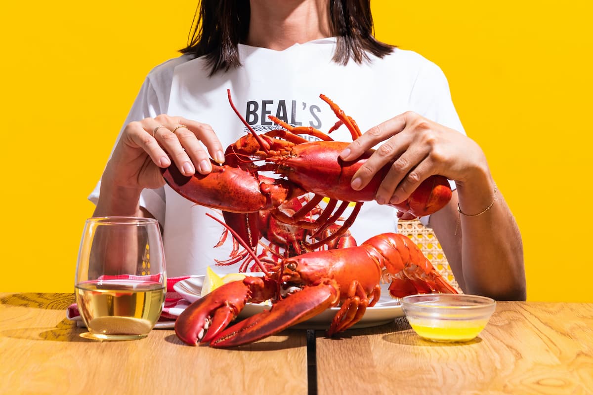 A woman is about to begin a delicious meal of lobster with melted butter and a glass of white wine.